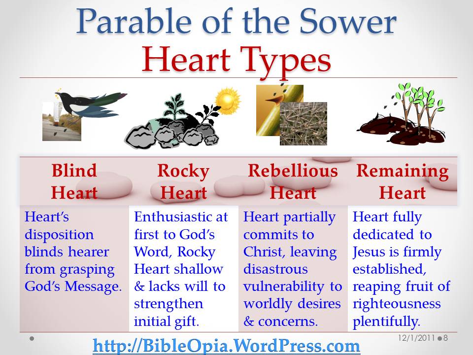 Image result for THE PARABLES of the sower